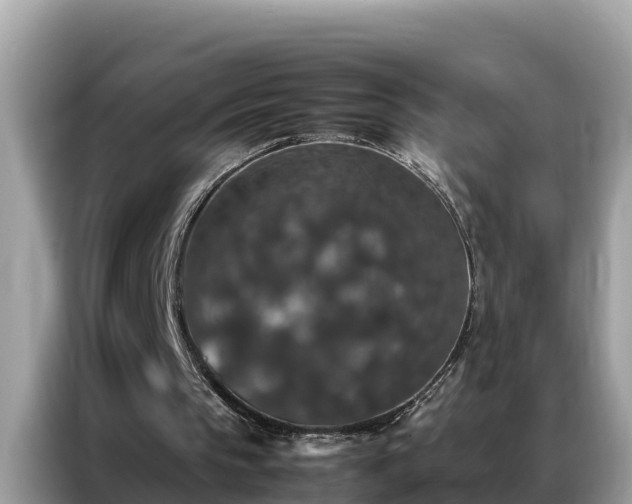 X0000087370145200704271501