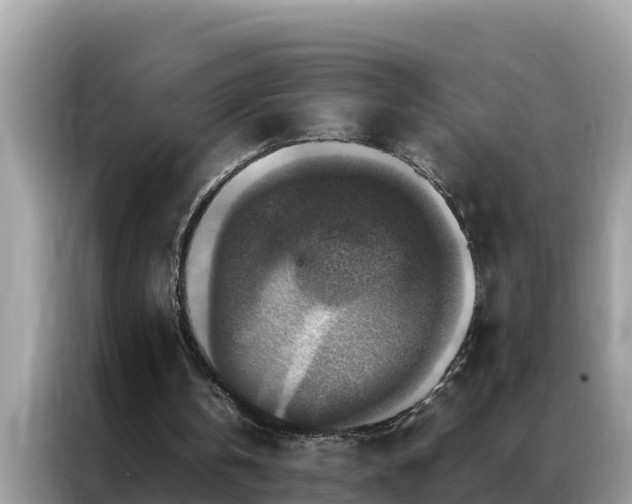 X0000087370146200704271501