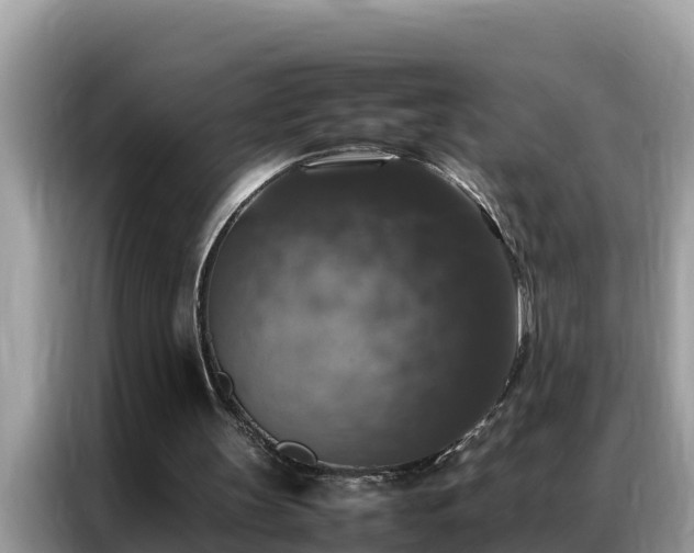 X0000087370147200704271501