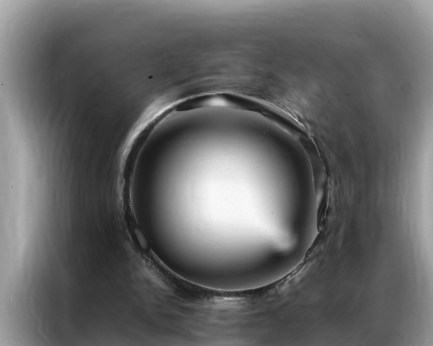 X0000087370150200704271501