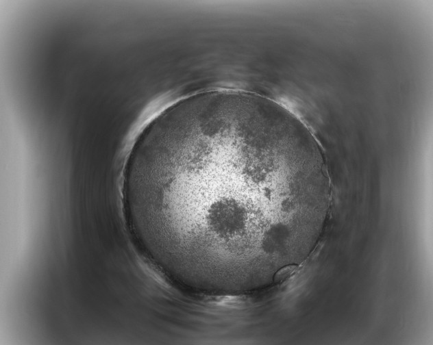 X0000087370151200704271501