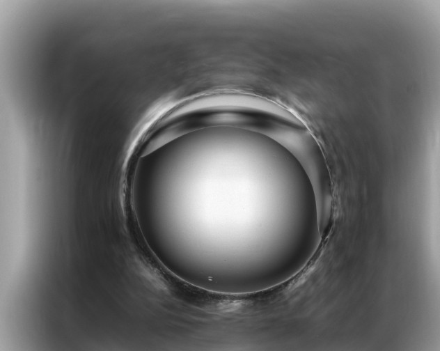 X0000087370152200704271501