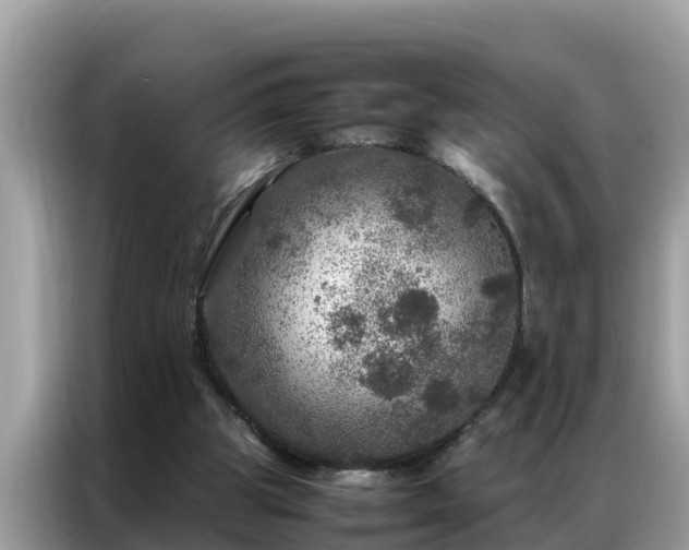 X0000087370153200704271501