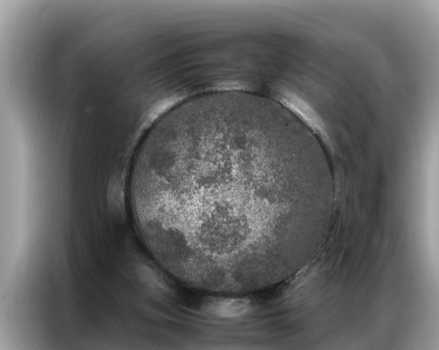 X0000087370155200704271501