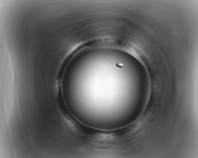 X0000087370160200704271501