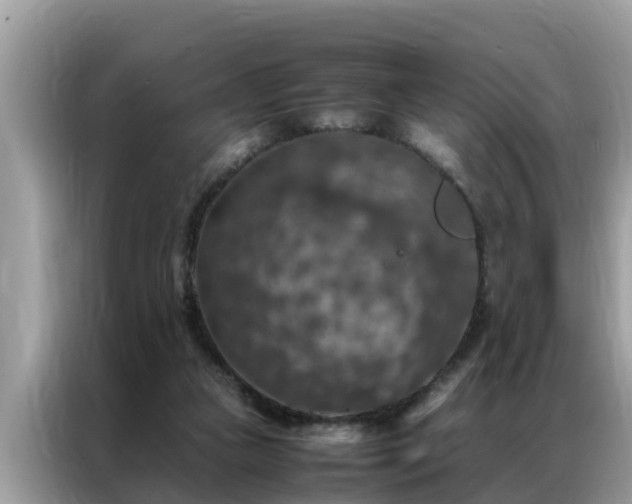 X0000087370161200704271501