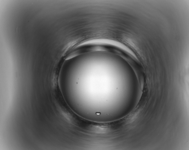 X0000087370164200704271501