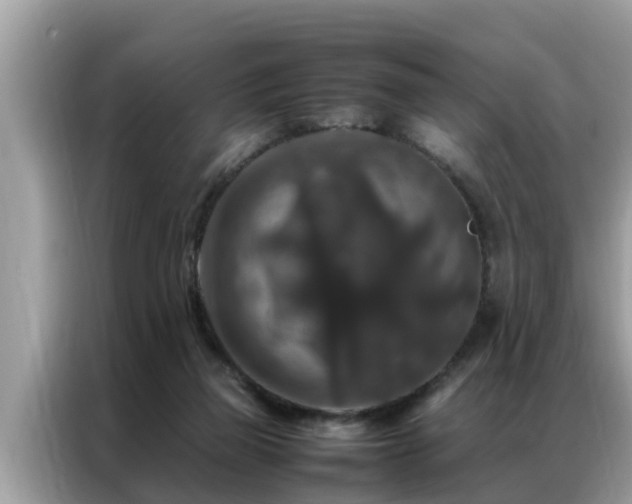 X0000087370165200704271501