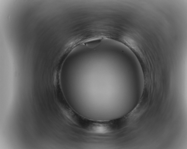 X0000087370167200704271501
