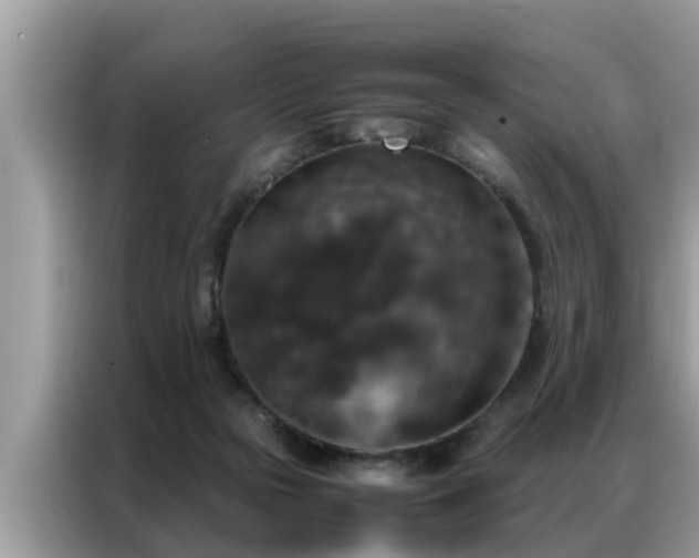 X0000087370169200704271501