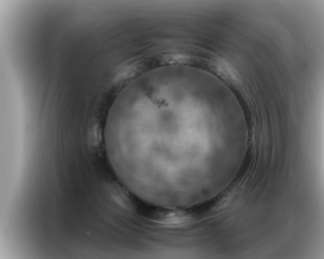 X0000087370173200704271501