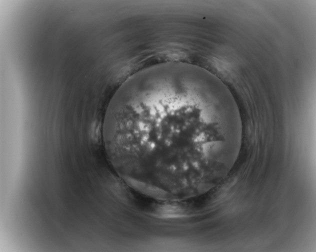 X0000087370177200704271501