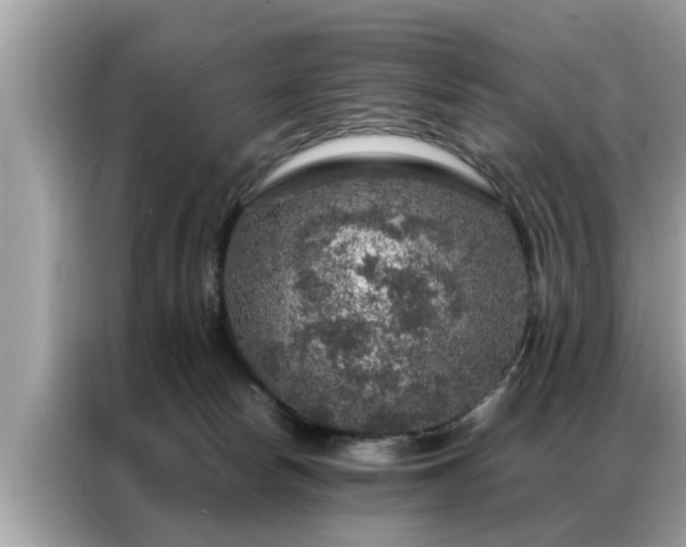 X0000087370178200704271501