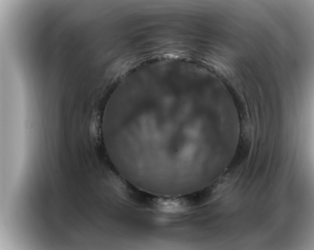 X0000087370181200704271501