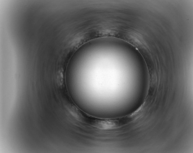 X0000087370183200704271501