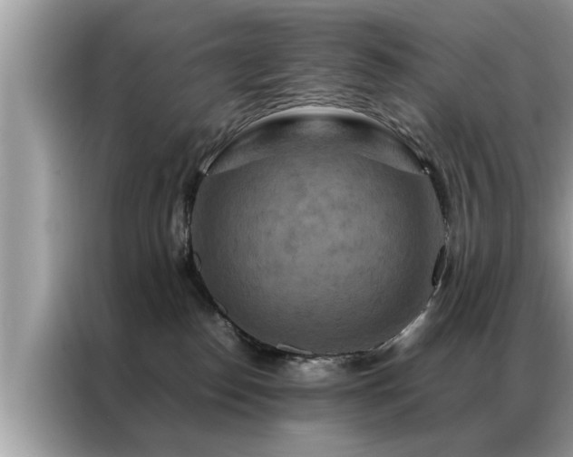 X0000087370186200704271501