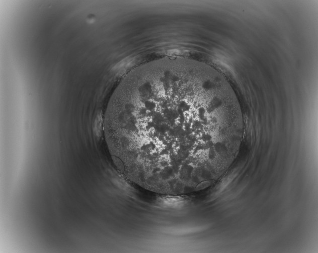 X0000087370189200704271501