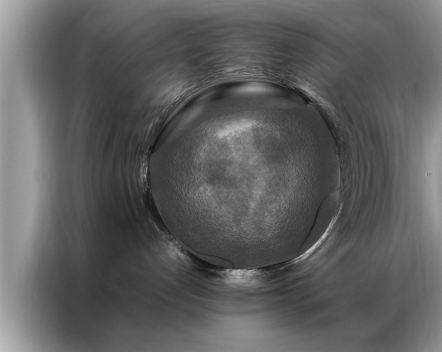 X0000087370192200704271501