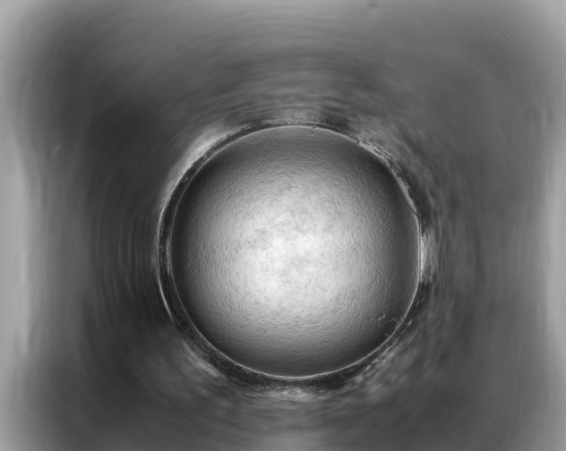 X0000087370195200704271501