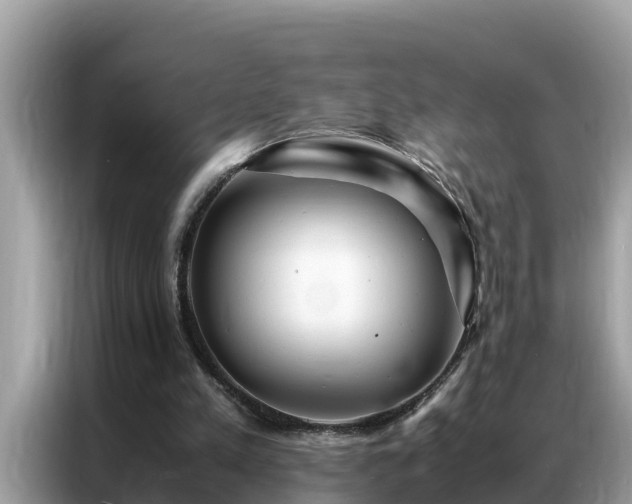 X0000087370197200704271501