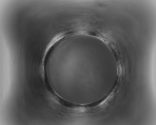 X0000087370198200704271501