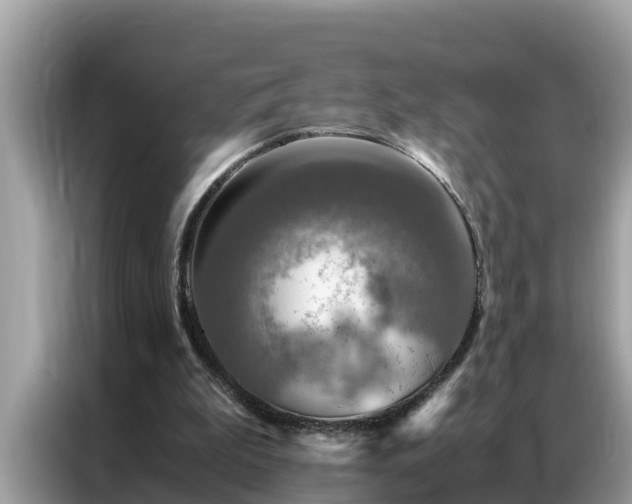 X0000087370199200704271501