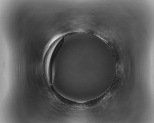 X0000087370200200704271501