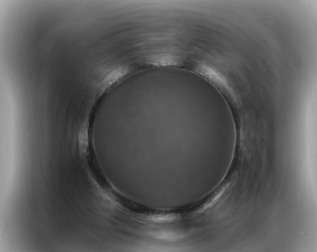 X0000087370202200704271501