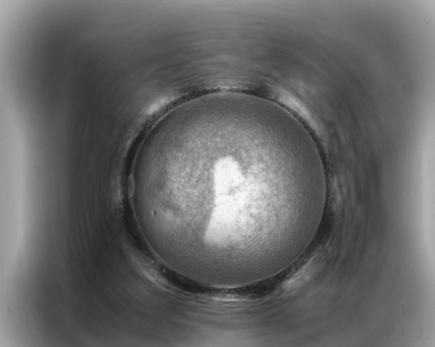 X0000087370203200704271501