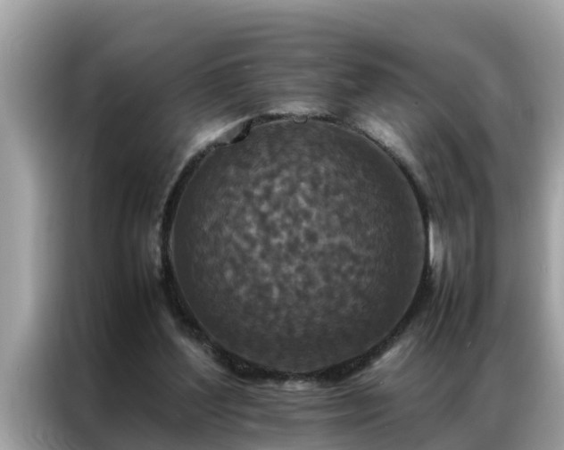 X0000087370204200704271501