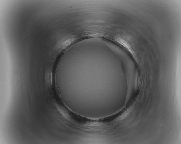 X0000087370205200704271501