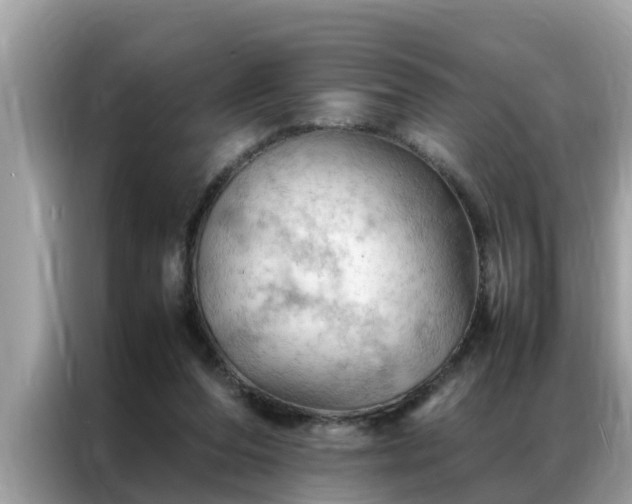 X0000087370208200704271501