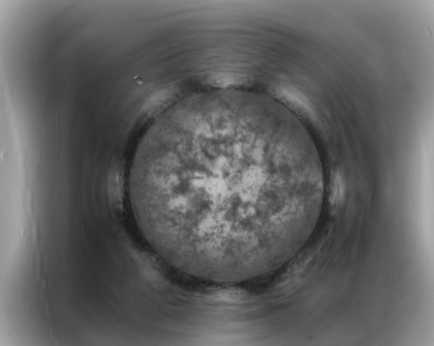 X0000087370210200704271501