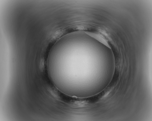 X0000087370213200704271501