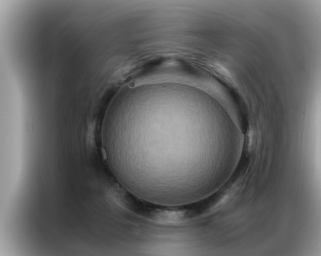 X0000087370217200704271501