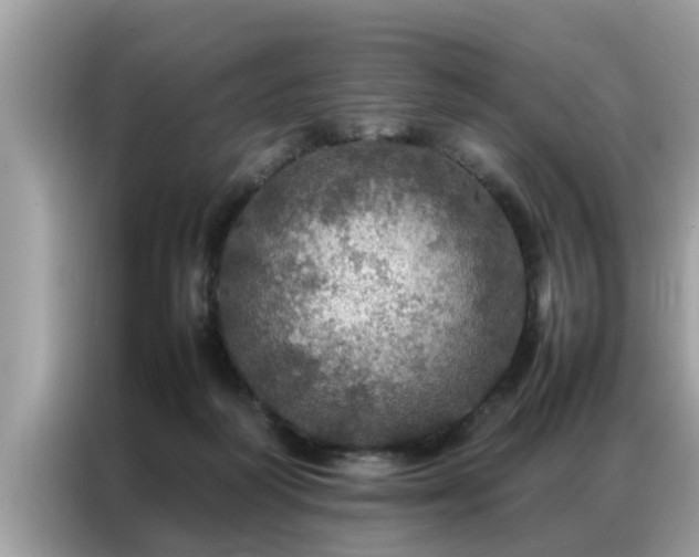 X0000087370218200704271501