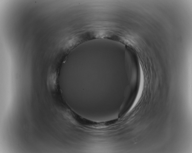 X0000087370219200704271501