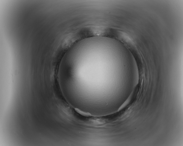 X0000087370221200704271501