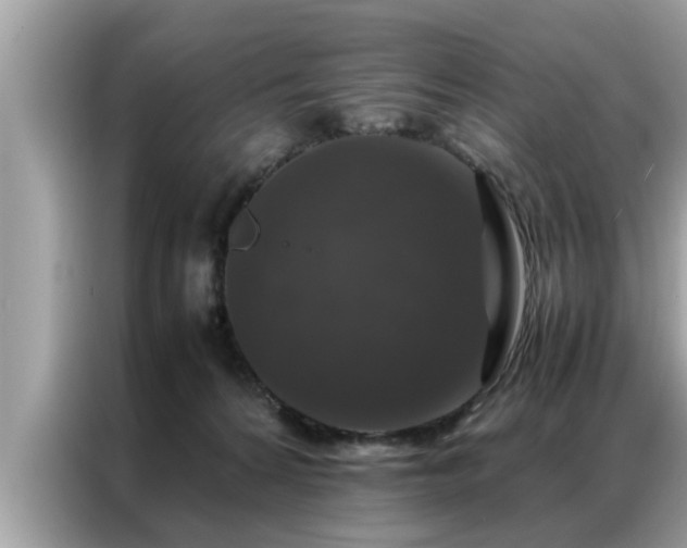 X0000087370224200704271500