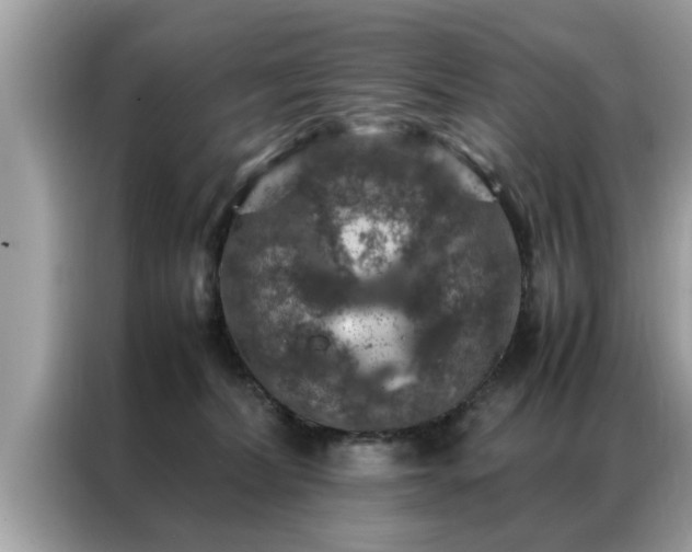 X0000087370228200704271500