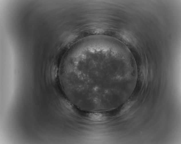 X0000087370230200704271500