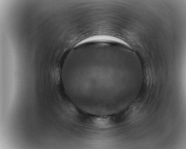 X0000087370232200704271500