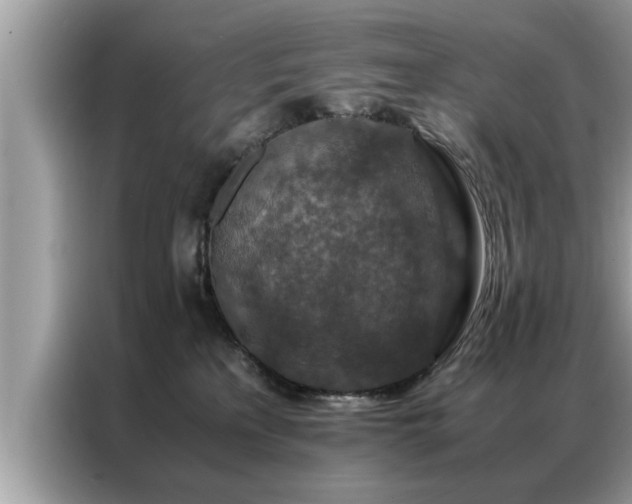 X0000087370233200704271500