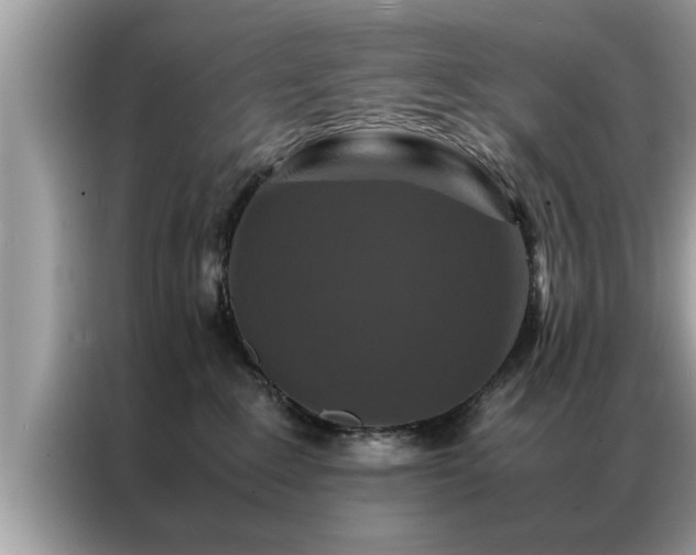 X0000087370235200704271500