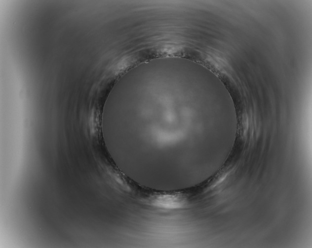 X0000087370236200704271500