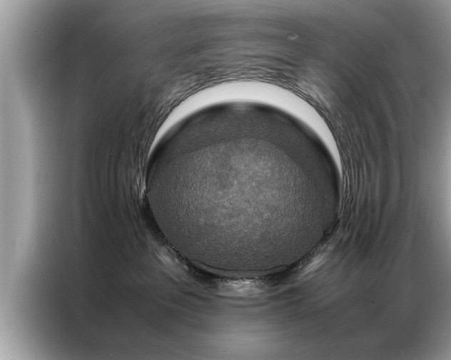 X0000087370237200704271500