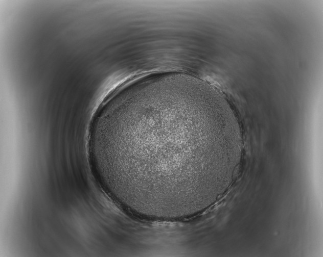 X0000087370242200704271500
