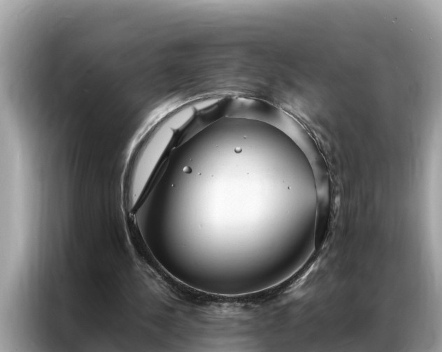 X0000087370244200704271500