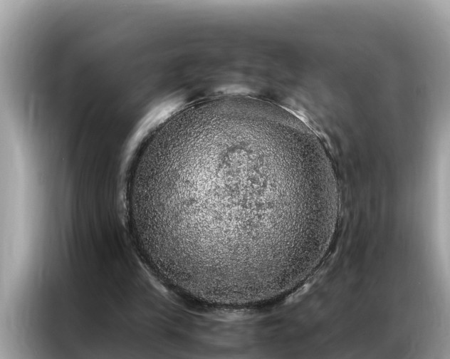 X0000087370245200704271500