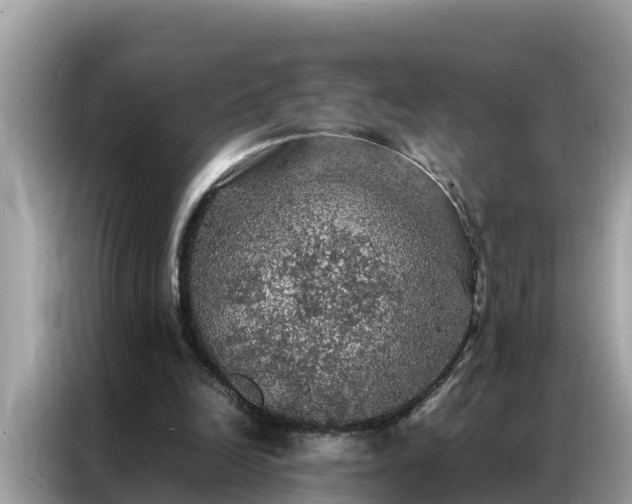 X0000087370246200704271500